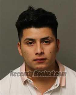 Booking photo from Grayson County, Virginia