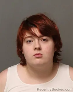 Mugshot of AURORA ANN HANDZIAK