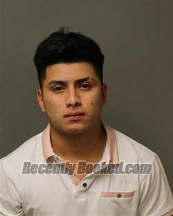 Booking photo from Grayson County, Virginia