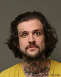 Mugshot of STEVEN LEO REPASI
