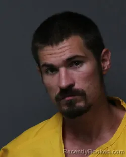 Mugshot of RONALD SCOTT RICHARDS