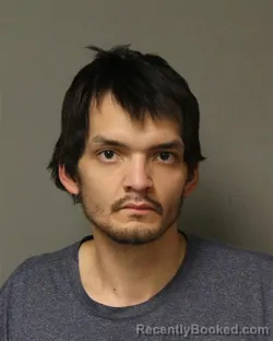 Mugshot of TY WALKER DAVIS