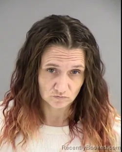 Mugshot of BRANDIE FAYE COLGIN