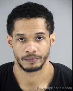 Mugshot of DAVID LAMONT WILLIAMS