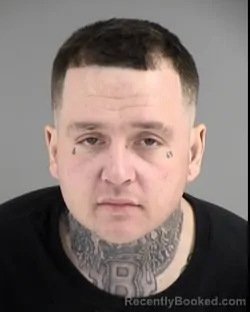 Mugshot of BRANDON TODD FISCHER