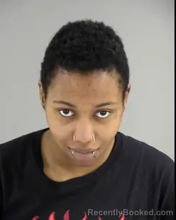 Mugshot of PIERRA OLIVIA PRYOR