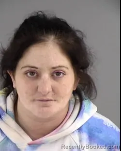 Mugshot of BRITTANY NICOLE PERKINS