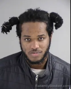 Booking photo from Henrico County, Virginia