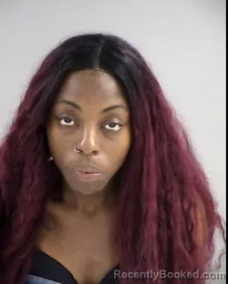 Booking photo from Henrico County, Virginia