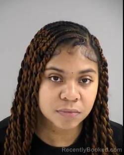 Mugshot of ERICA MARIE HARRIS