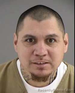 Mugshot of JOSE ALEXIS RODAS