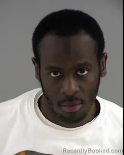 Mugshot of STEPHEN LAMAUR AGEE