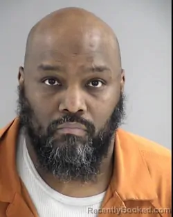 Mugshot of BRIAN LAMONT TURNER