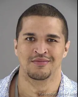 Mugshot of CHRISTOPHER O'BRIEN PERKINS