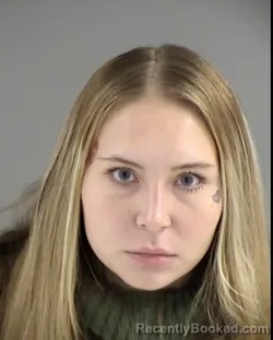 Mugshot of MADISON EVE LAWYER