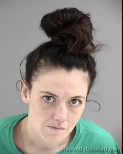 Mugshot of BRITTNEY FRITZ CROCKETT