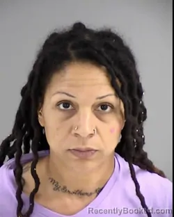 Mugshot of ERIN SEVILLE TRAVERS