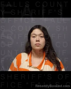 Mugshot of CHEYENNE LEE MILLER