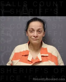 Mugshot of LISA MARIE HAWKINS