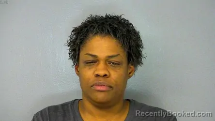 Booking photo from James City County, Virginia