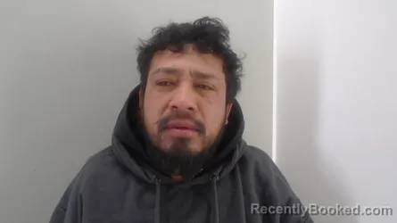 Mugshot of CAMILYN JULIAN AVILA MEJIA