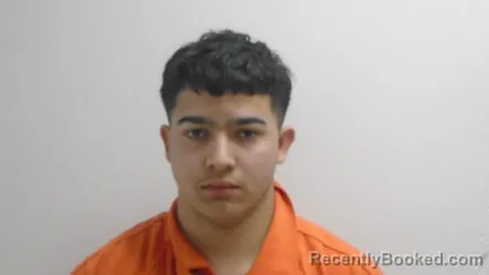 Mugshot of ELMER TORRES MEJIA