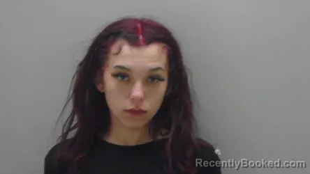 Mugshot of MEGAN NICOLE GIBBS