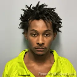 Mugshot of DISAIAH MCKINLEY-ISEAN WILSON