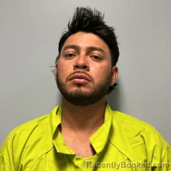 Mugshot of DELMAR OMAR GARCIA ORTEGA