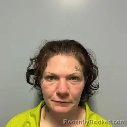 Mugshot of TONI ANN FRANKLIN