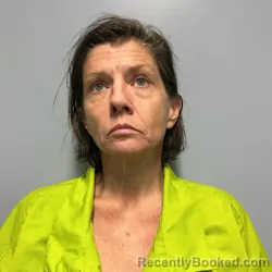Mugshot of LINDA RENEE MEADOWS