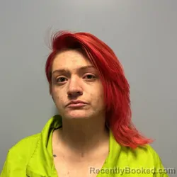 Mugshot of ALLISON BROOK EANES