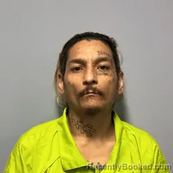 Mugshot of RICKY NOV