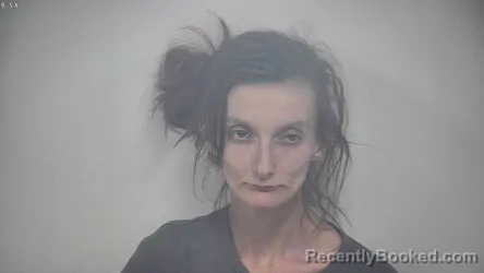 Mugshot of ANGEL NICOLE RILEY