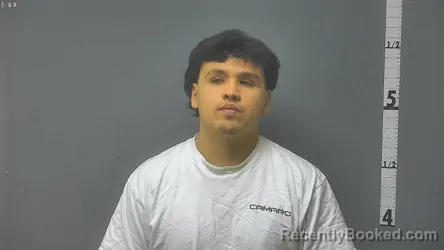 Mugshot of ALEXANDER PEREZ-ARELLANO