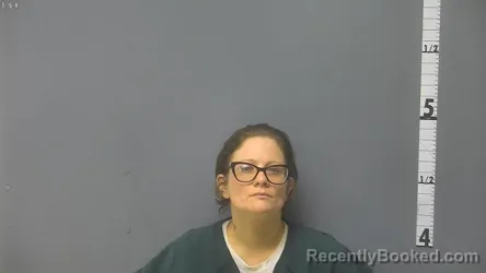 Mugshot of JESSICA LYNN HENSLEY HAMMER