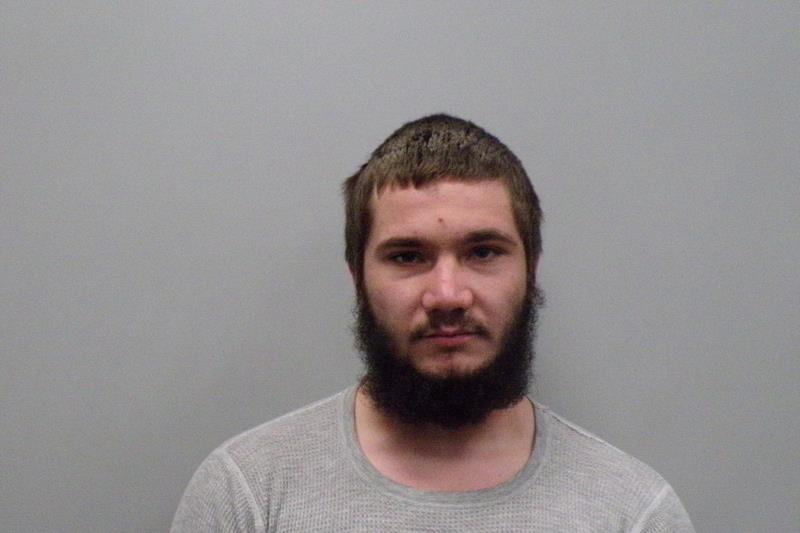 Mugshot of Dillan Lee Elam