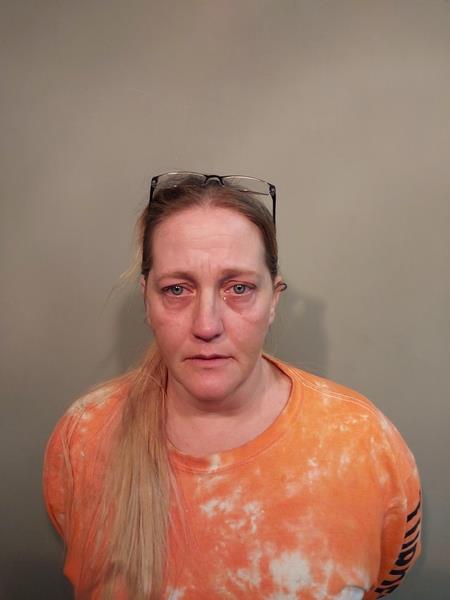 Mugshot of Shanna Marie Wilson