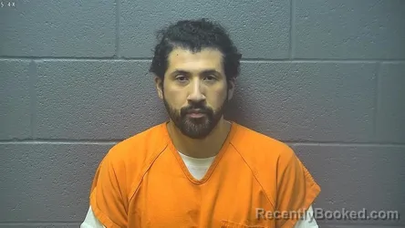Mugshot of DAMESIS ENRIQUE MATINEZ