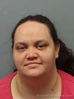 Booking photo from Smyth County, Virginia