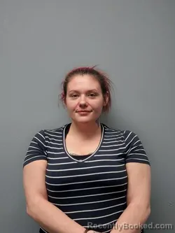 Booking photo from Smyth County, Virginia