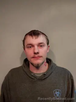 Mugshot of Dalton T Louthen