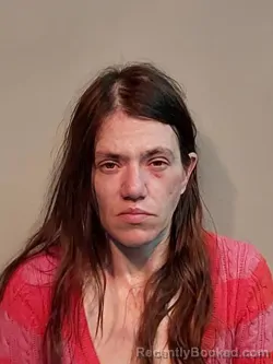 Mugshot of Erica Leeann Boatright
