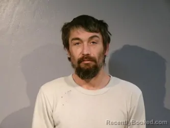 Booking photo from Smyth County, Virginia