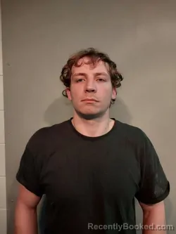 Mugshot of Josey Alexander Collins