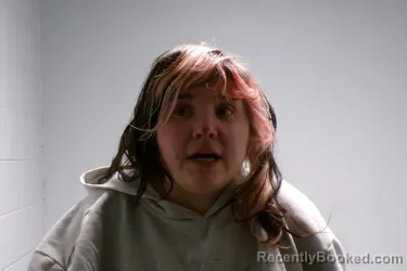 Booking photo from Smyth County, Virginia