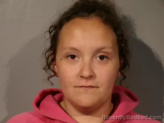 Booking photo from Smyth County, Virginia