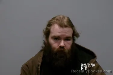 Mugshot of Logan David Hamm