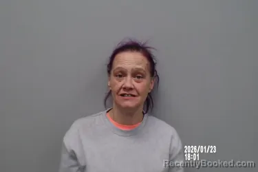 Mugshot of Misty Sabins