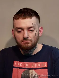 Booking photo from Smyth County, Virginia